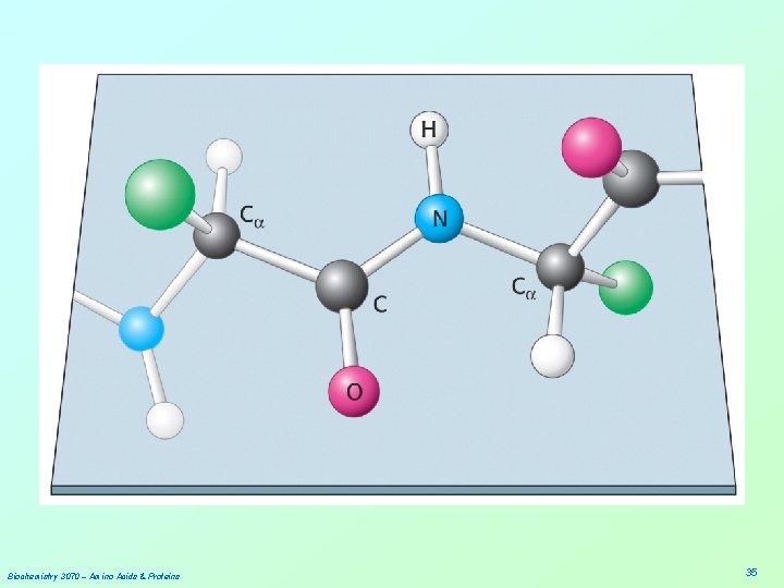 Biochemistry 3070 – Amino Acids & Proteins 35 