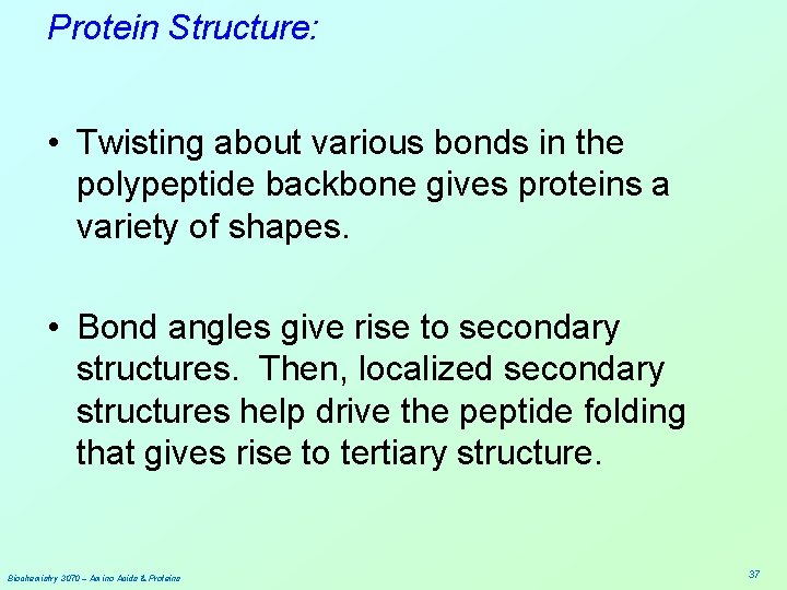 Protein Structure: • Twisting about various bonds in the polypeptide backbone gives proteins a