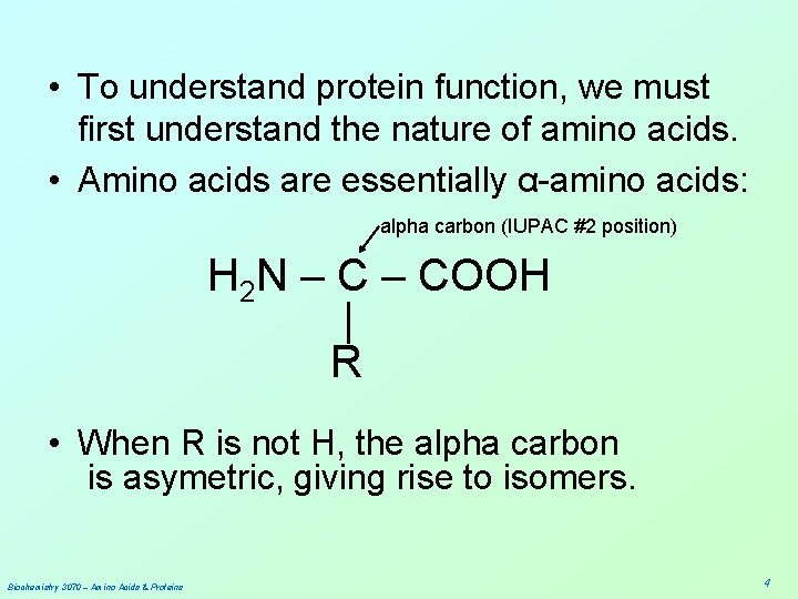  • To understand protein function, we must first understand the nature of amino