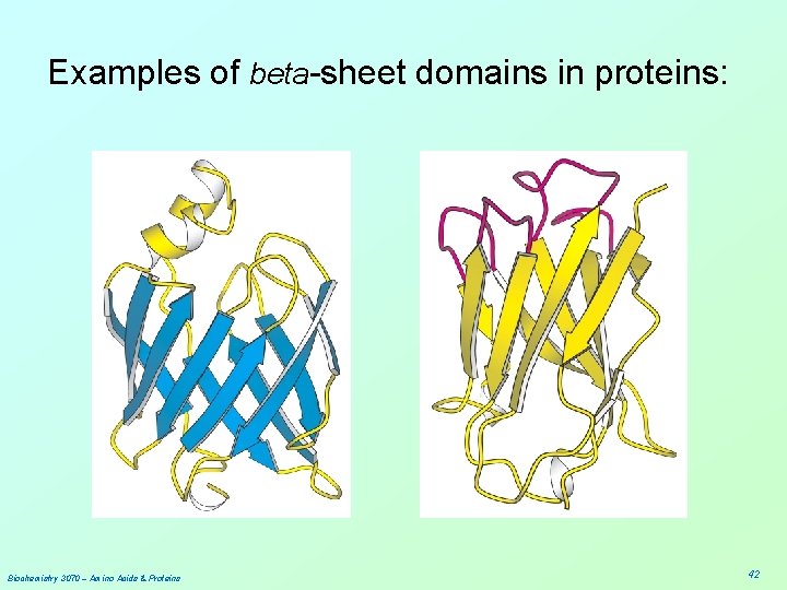 Examples of beta-sheet domains in proteins: Biochemistry 3070 – Amino Acids & Proteins 42