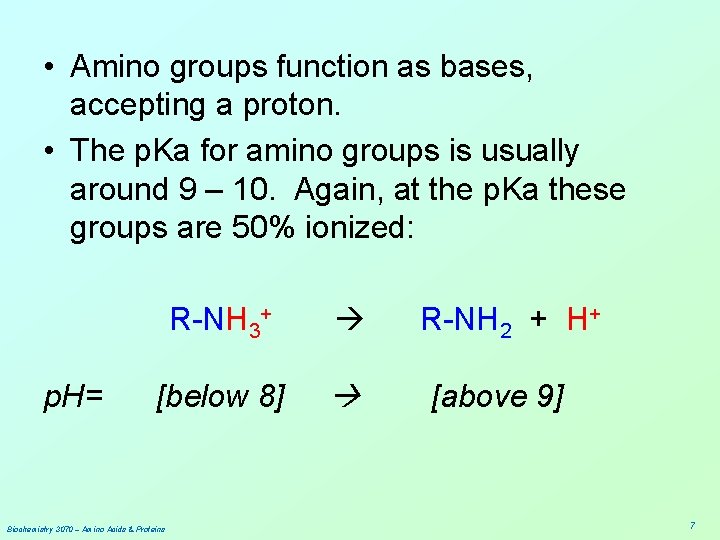  • Amino groups function as bases, accepting a proton. • The p. Ka