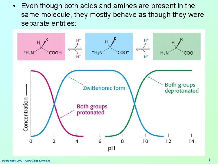  • Even though both acids and amines are present in the same molecule,