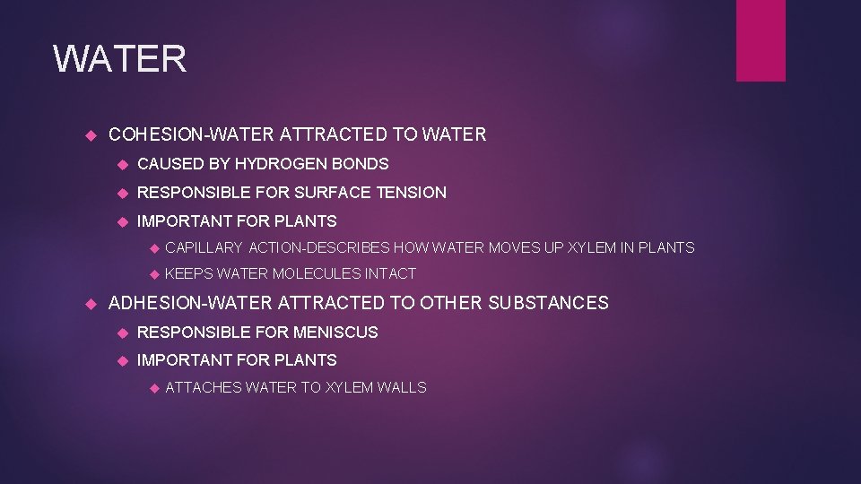 WATER COHESION-WATER ATTRACTED TO WATER CAUSED BY HYDROGEN BONDS RESPONSIBLE FOR SURFACE TENSION IMPORTANT