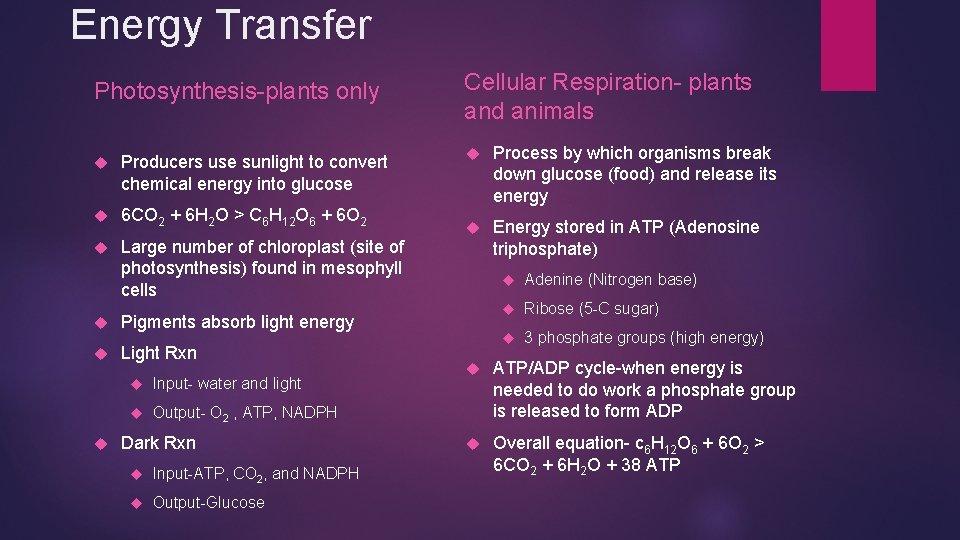 Energy Transfer Photosynthesis-plants only Producers use sunlight to convert chemical energy into glucose 6