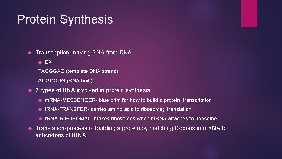 Protein Synthesis Transcription-making RNA from DNA EX TACGGAC (template DNA strand) AUGCCUG (RNA built)