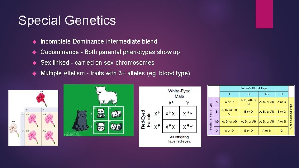 Special Genetics Incomplete Dominance-intermediate blend Codominance - Both parental phenotypes show up. Sex linked