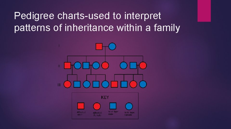 Pedigree charts-used to interpret patterns of inheritance within a family 