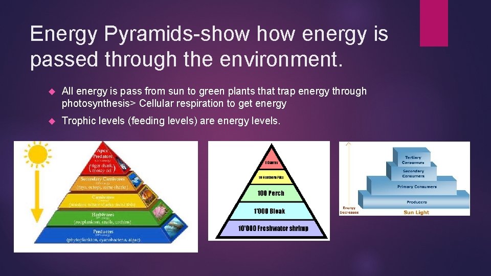 Energy Pyramids-show energy is passed through the environment. All energy is pass from sun