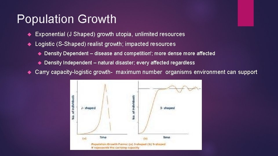 Population Growth Exponential (J Shaped) growth utopia, unlimited resources Logistic (S-Shaped) realist growth; impacted