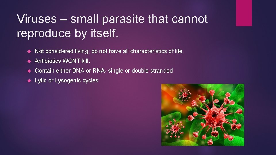 Viruses – small parasite that cannot reproduce by itself. Not considered living; do not