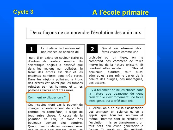 Cycle 3 A l’école primaire 