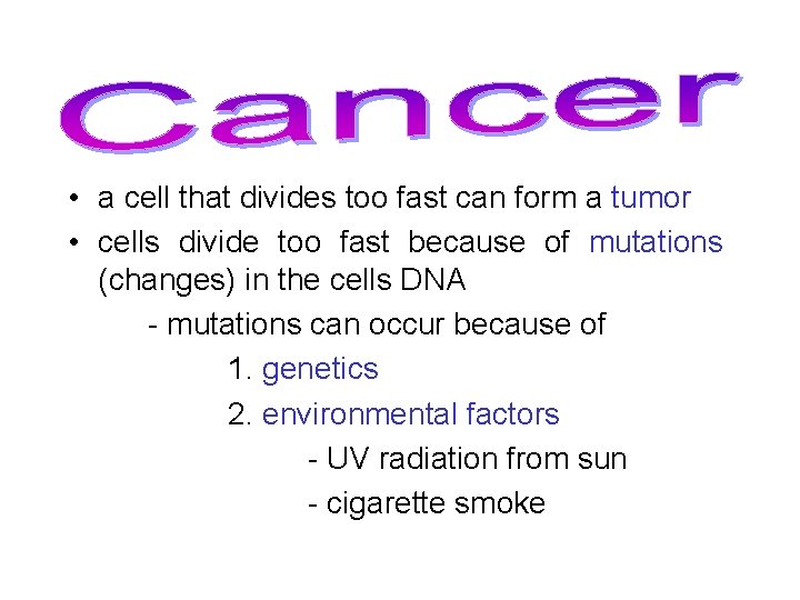  • a cell that divides too fast can form a tumor • cells