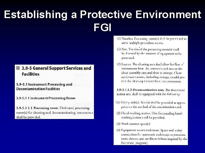 Establishing a Protective Environment FGI 