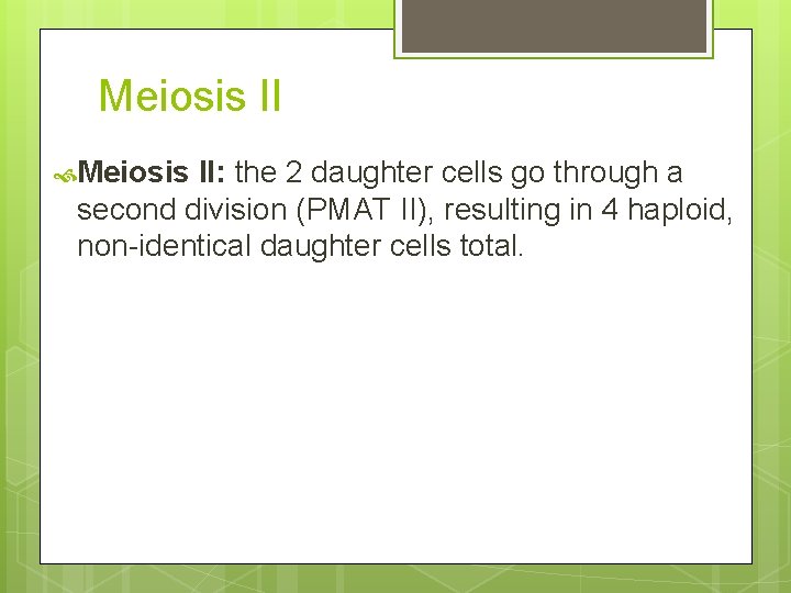 Meiosis II: the 2 daughter cells go through a second division (PMAT II), resulting