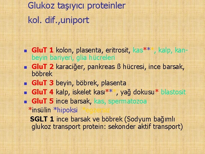 Glukoz taşıyıcı proteinler kol. dif. , uniport Glu. T 1 kolon, plasenta, eritrosit, kas***,