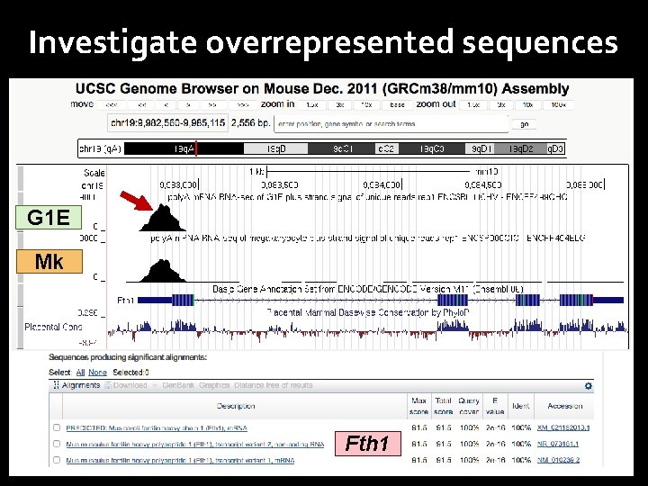Investigate overrepresented sequences G 1 E Mk Fth 1 