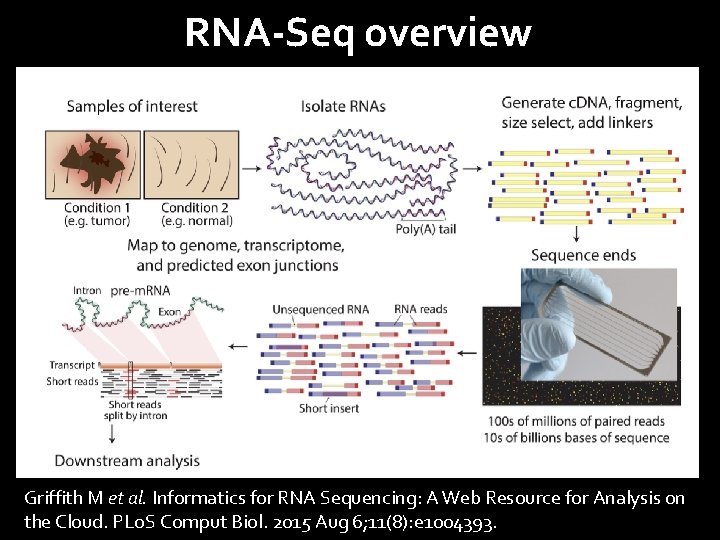 RNA-Seq overview Griffith M et al. Informatics for RNA Sequencing: A Web Resource for