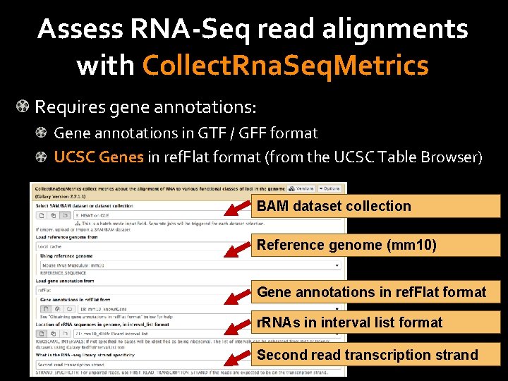 Assess RNA-Seq read alignments with Collect. Rna. Seq. Metrics Requires gene annotations: Gene annotations