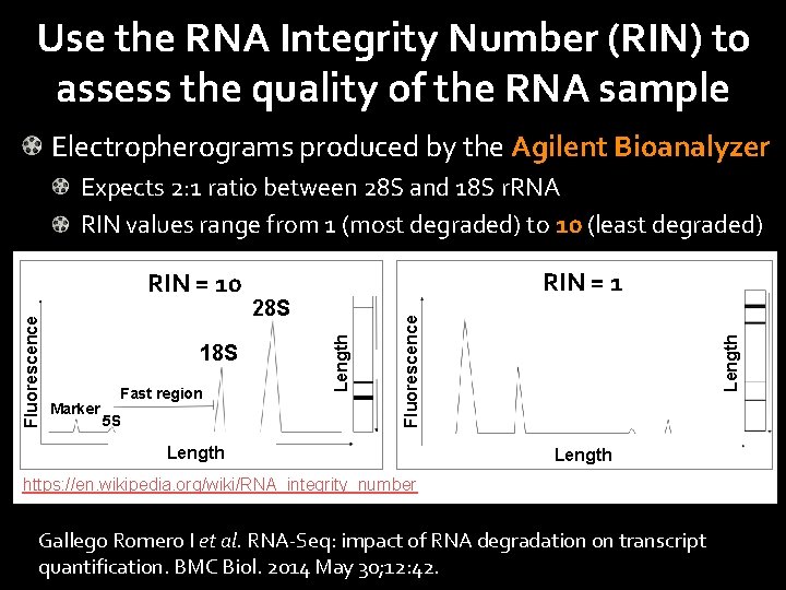 Use the RNA Integrity Number (RIN) to assess the quality of the RNA sample