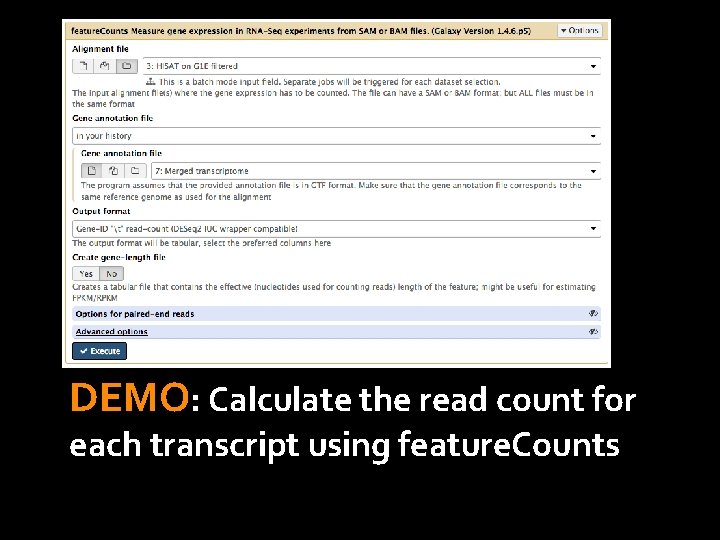 DEMO: Calculate the read count for each transcript using feature. Counts 