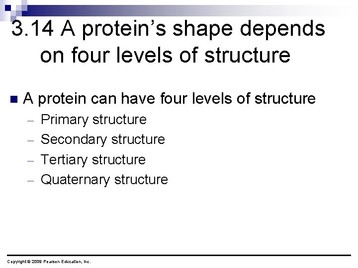 3. 14 A protein’s shape depends on four levels of structure n A protein