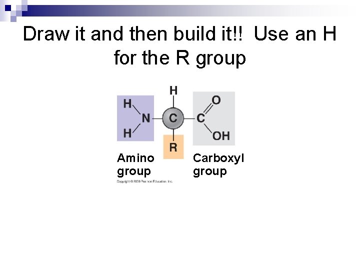 Draw it and then build it!! Use an H for the R group Amino
