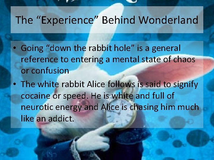 The “Experience” Behind Wonderland • Going “down the rabbit hole” is a general reference