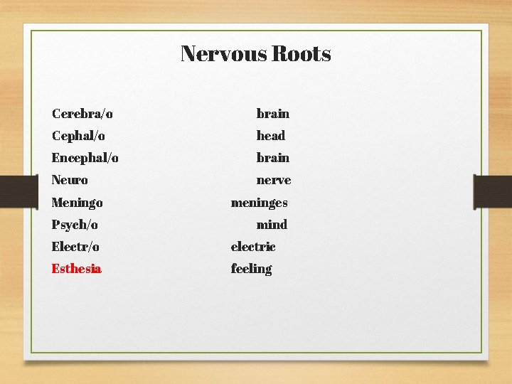 Nervous Roots Cerebra/o brain Cephal/o head Encephal/o brain Neuro nerve Meningo Psych/o meninges mind