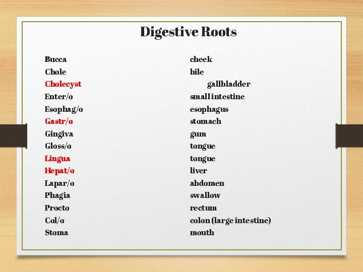 Digestive Roots Bucca cheek Chole bile Cholecyst gallbladder Enter/o small intestine Esophag/o esophagus Gastr/o