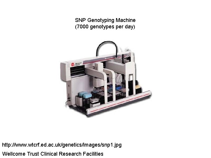 SNP Genotyping Machine (7000 genotypes per day) http: //www. wtcrf. ed. ac. uk/genetics/images/snp 1.