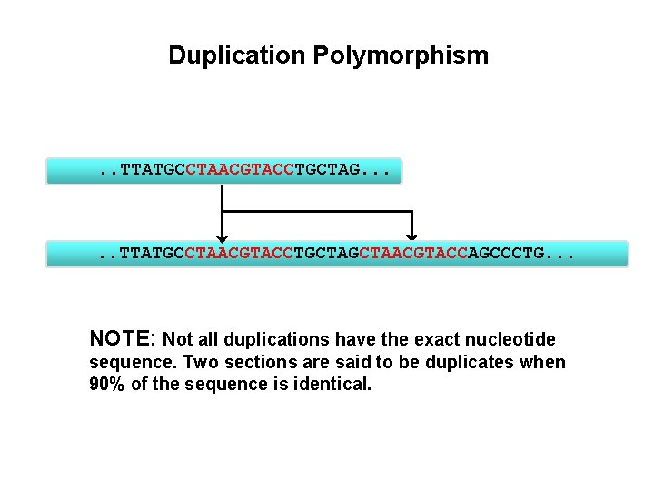 Duplication Polymorphism . . TTATGCCTAACGTACCTGCTAG. . . TTATGCCTAACGTACCTGCTAACGTACCAGCCCTG. . . NOTE: Not all duplications