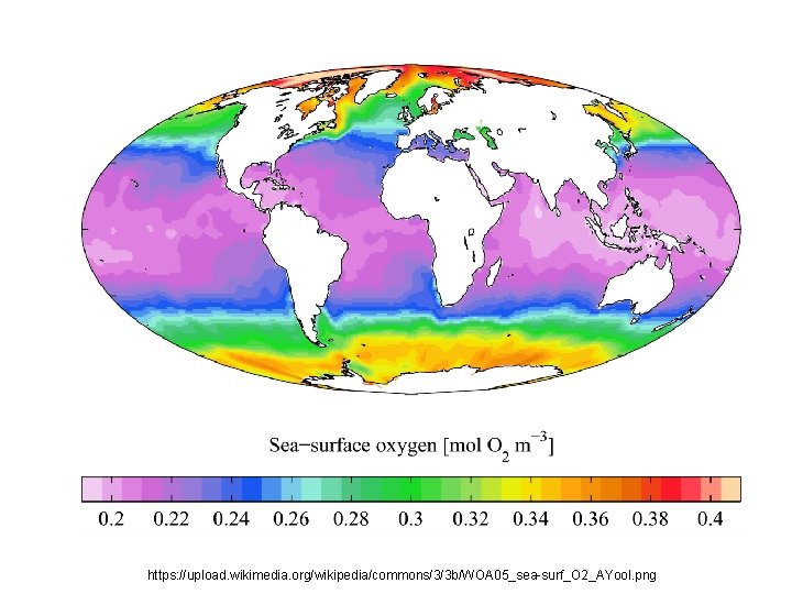https: //upload. wikimedia. org/wikipedia/commons/3/3 b/WOA 05_sea-surf_O 2_AYool. png 