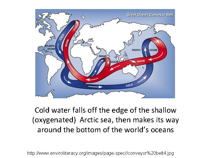 Cold water falls off the edge of the shallow (oxygenated) Arctic sea, then makes