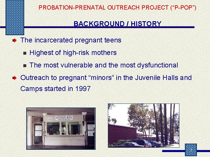 PROBATION-PRENATAL OUTREACH PROJECT (“P-POP”) BACKGROUND / HISTORY The incarcerated pregnant teens n Highest of