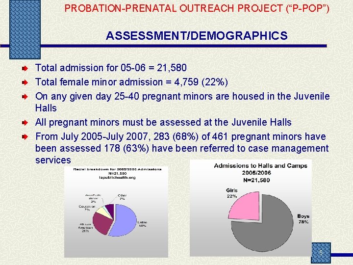 PROBATION-PRENATAL OUTREACH PROJECT (“P-POP”) ASSESSMENT/DEMOGRAPHICS Total admission for 05 -06 = 21, 580 Total