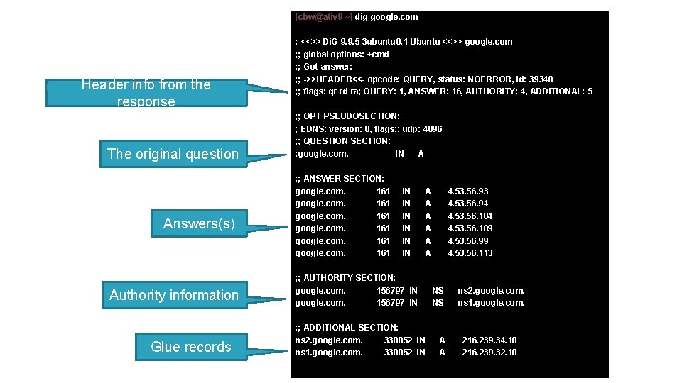 [cbw@ativ 9 ~] dig google. com Header info from the response The original question