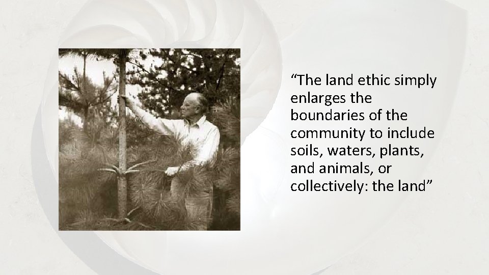 “The land ethic simply enlarges the boundaries of the community to include soils, waters,