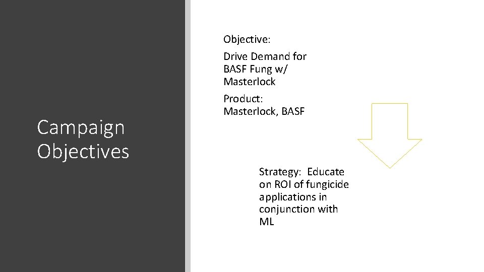 Objective: Drive Demand for BASF Fung w/ Masterlock Campaign Objectives Product: Masterlock, BASF Strategy:
