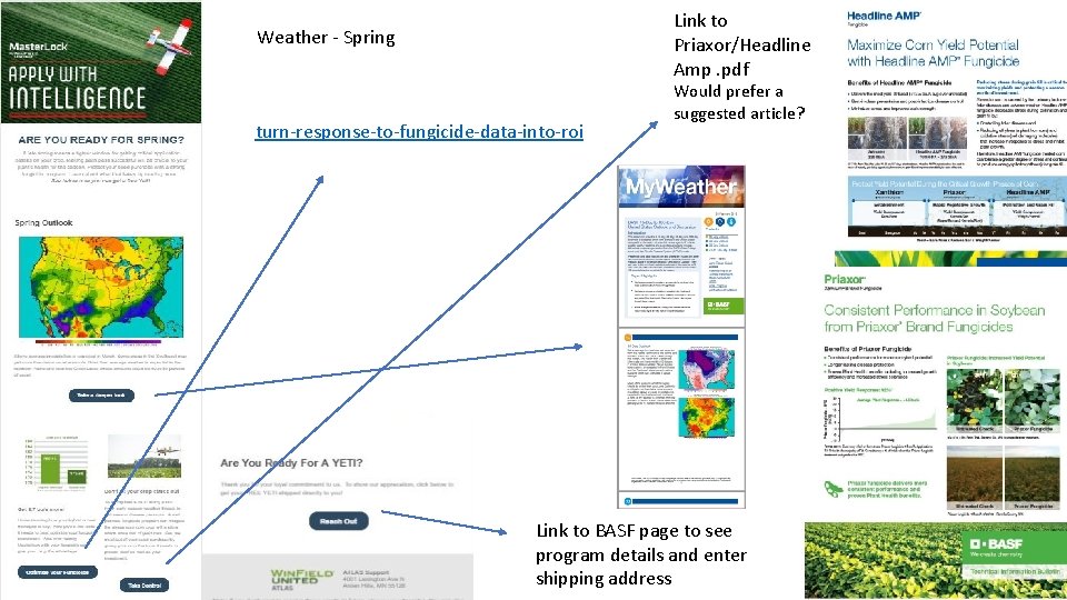 Link to Priaxor/Headline Amp. pdf Weather - Spring turn-response-to-fungicide-data-into-roi Would prefer a suggested article?