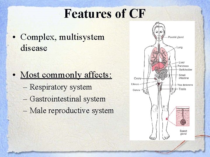 Features of CF • Complex, multisystem disease • Most commonly affects: – Respiratory system