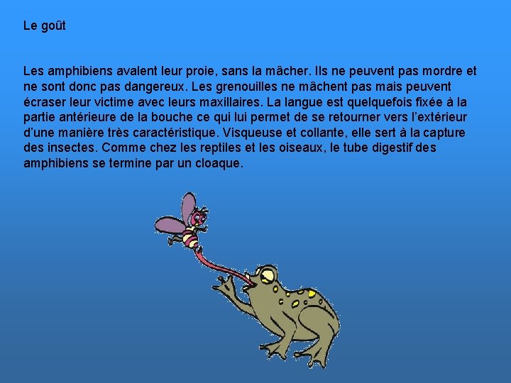 Le goût Les amphibiens avalent leur proie, sans la mâcher. Ils ne peuvent pas