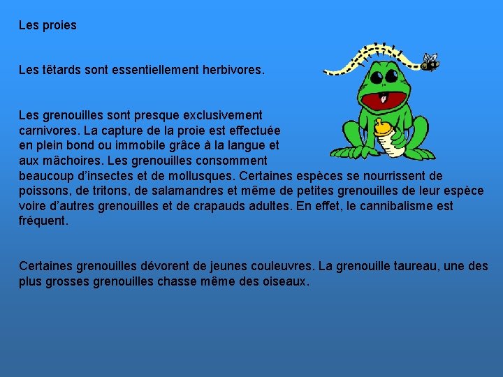 Les proies Les têtards sont essentiellement herbivores. Les grenouilles sont presque exclusivement carnivores. La