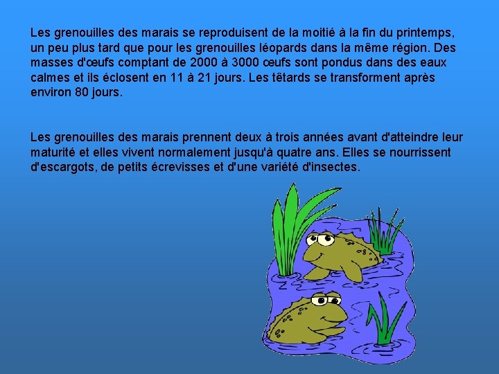 Les grenouilles des marais se reproduisent de la moitié à la fin du printemps,