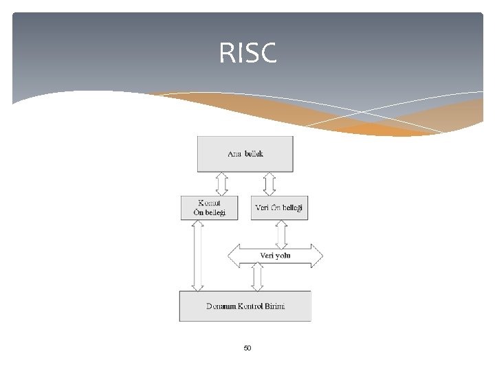 RISC 50 