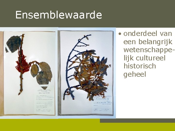 Ensemblewaarde • onderdeel van een belangrijk wetenschappelijk cultureel historisch geheel Pag. 15 