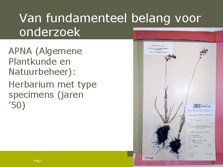 Van fundamenteel belang voor onderzoek APNA (Algemene Plantkunde en Natuurbeheer): Herbarium met type specimens