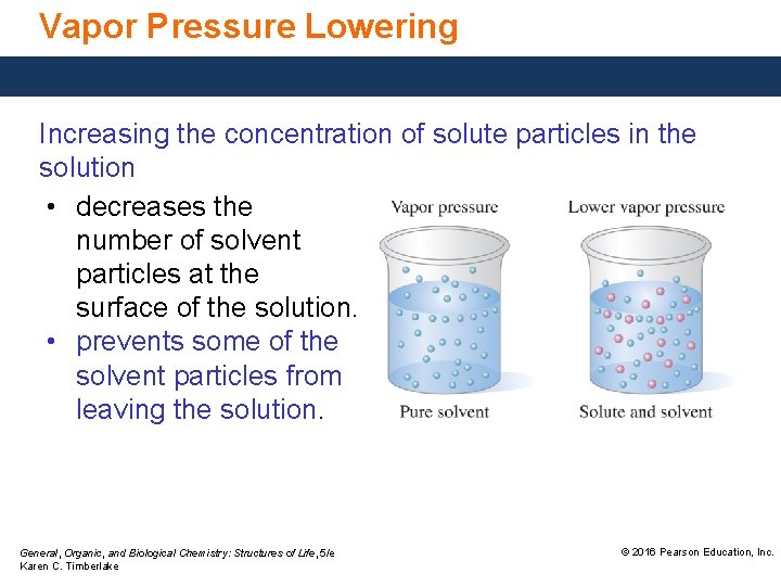 Vapor Pressure Lowering Increasing the concentration of solute particles in the solution • decreases