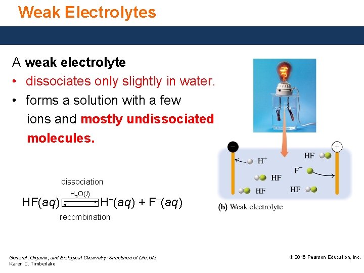 Weak Electrolytes A weak electrolyte • dissociates only slightly in water. • forms a