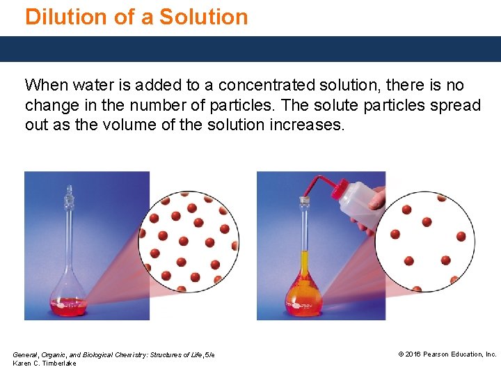 Dilution of a Solution When water is added to a concentrated solution, there is