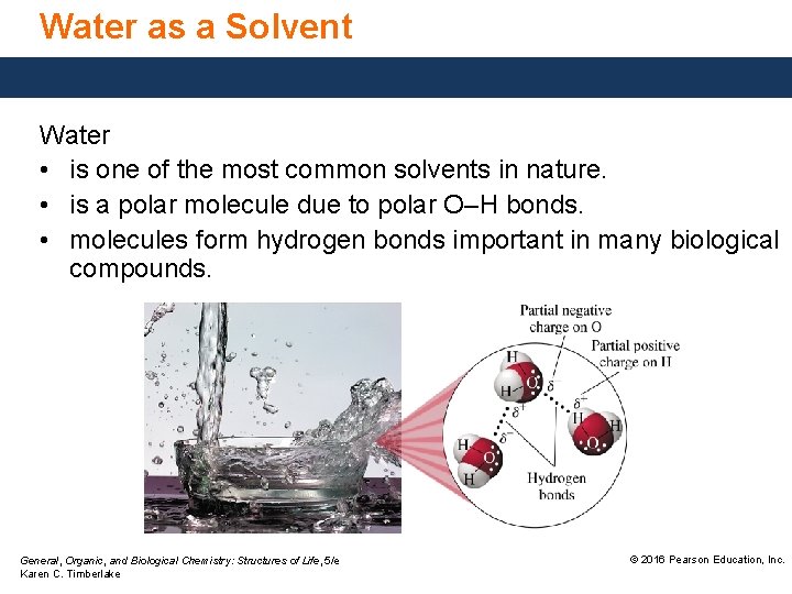 Water as a Solvent Water • is one of the most common solvents in
